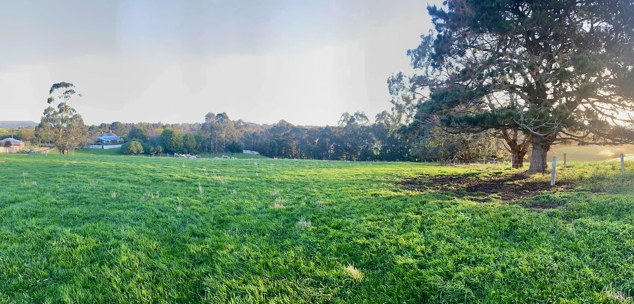 Additional image 2 of 5 Sheedy Road, Fish Creek VIC 3959