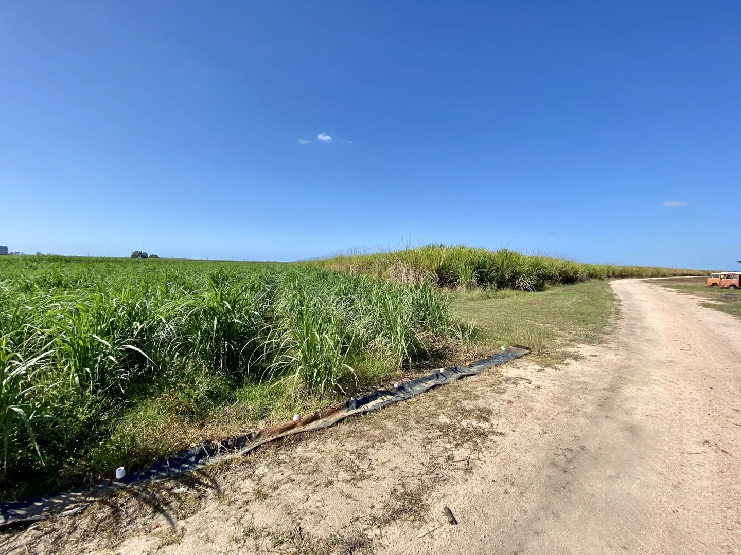 Additional image 18 of 20 Colevale Road, Brandon QLD 4808