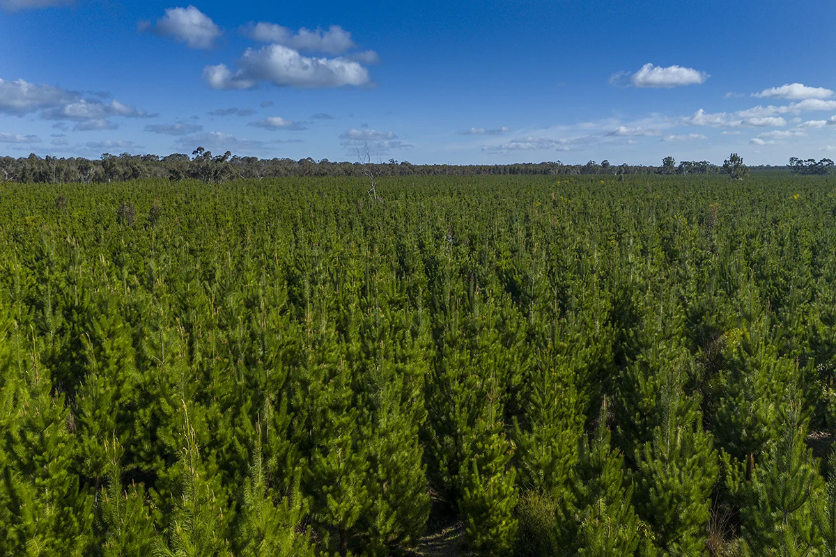 Additional image 10 of 125 Moonlight Road, Killara VIC 3312