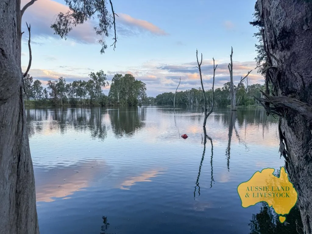 Additional image 17 of 8 SCREENING PLANT ROAD, Cynthia QLD 4627