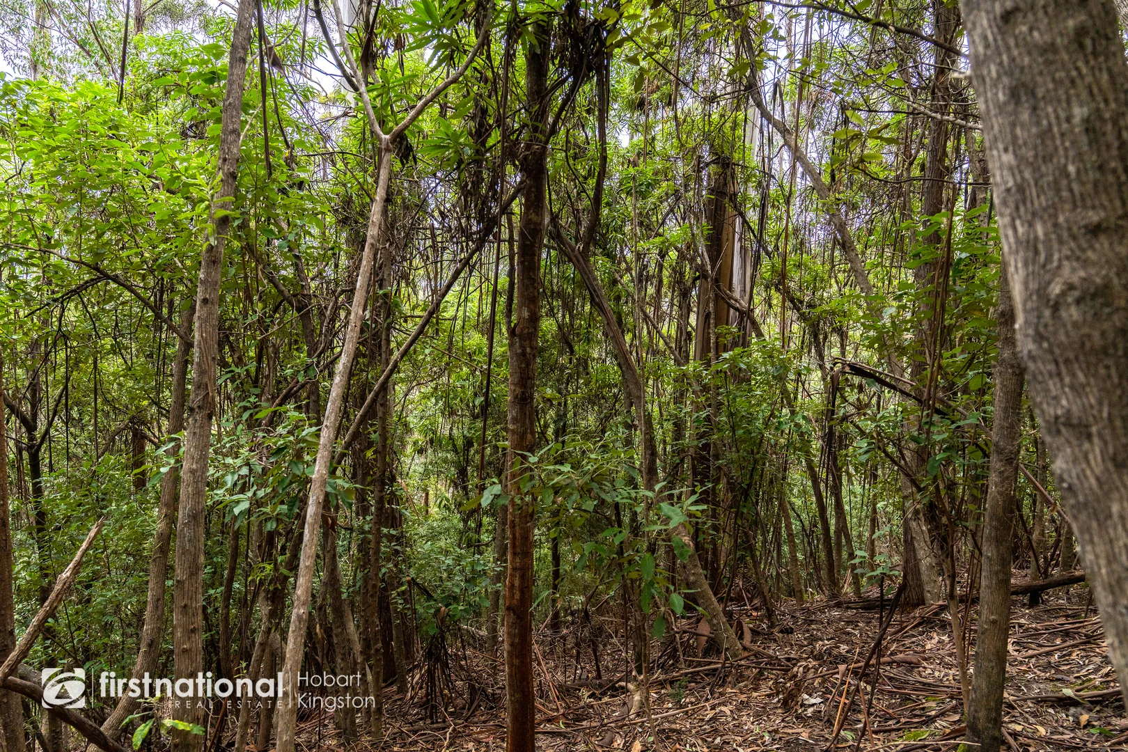 Additional image 19 of 240 Watsons Road, Kettering TAS 7155