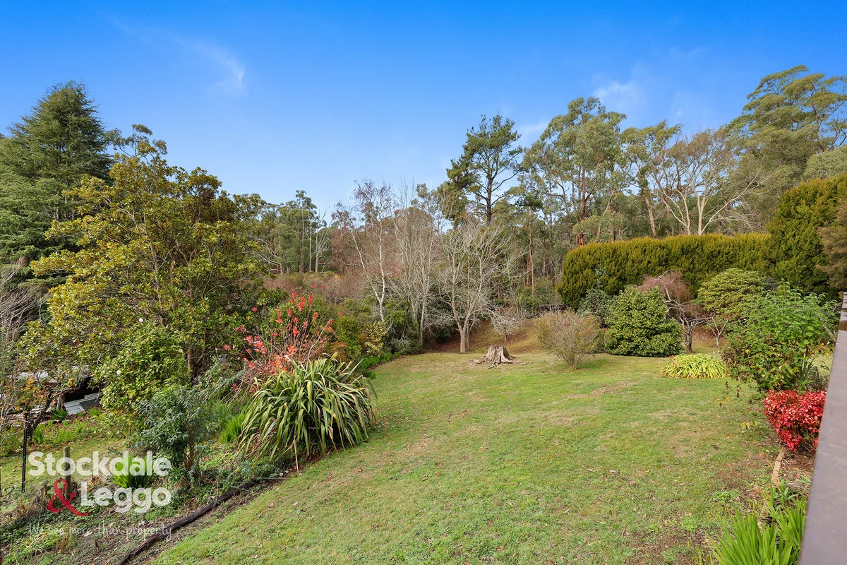 Additional image 22 of 10 Galvins Road, Mirboo North VIC 3871