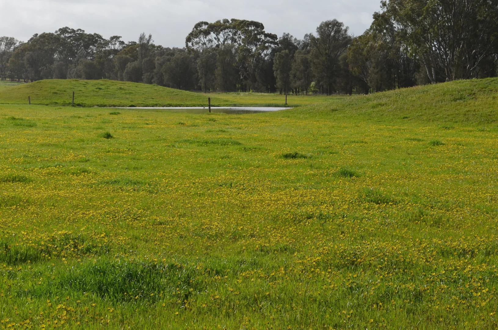 Additional image 9 of 1898 Patyah Road, Edenhope VIC 3318