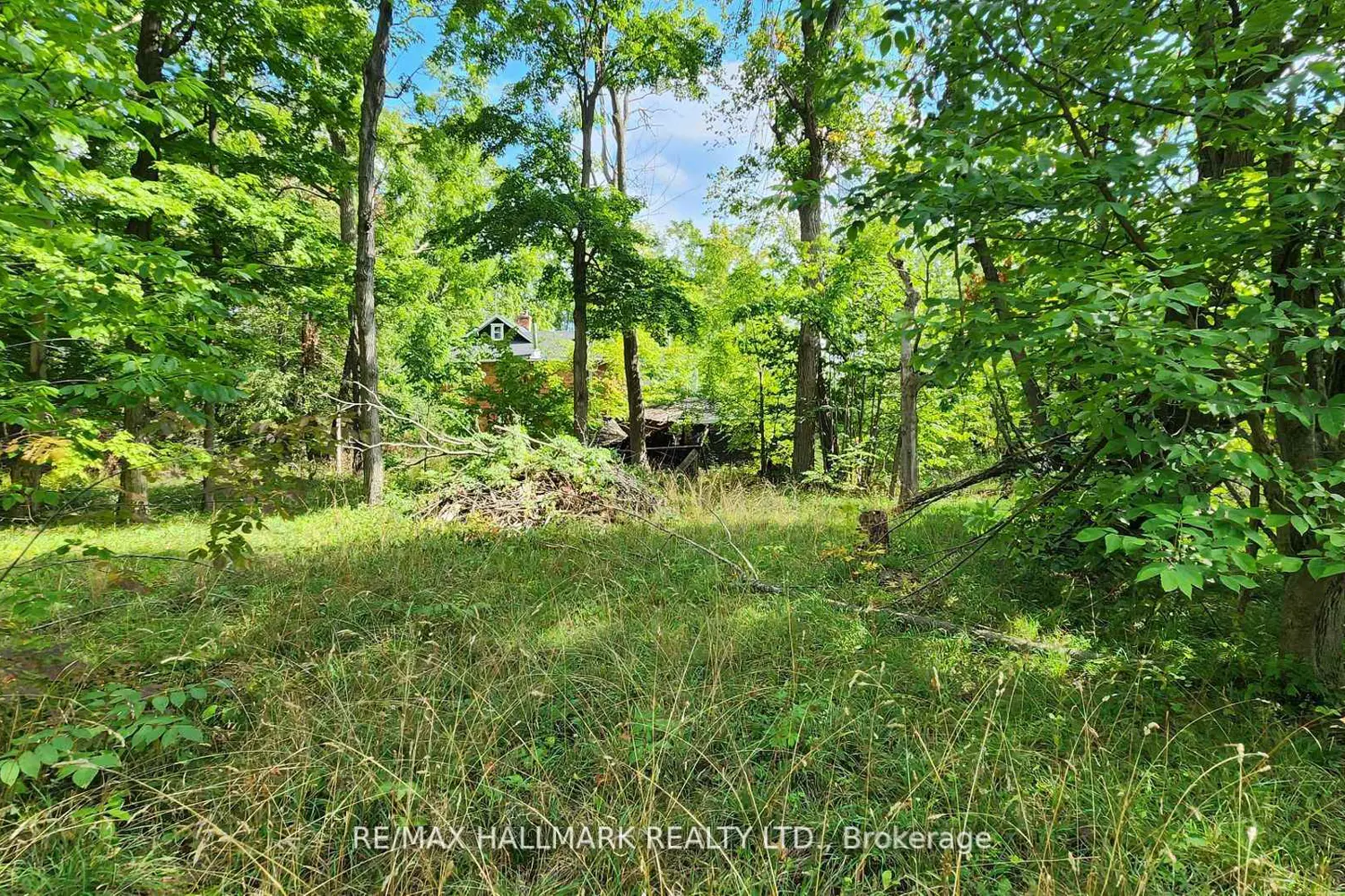 Additional image 18 of 26 Lakeshore Road