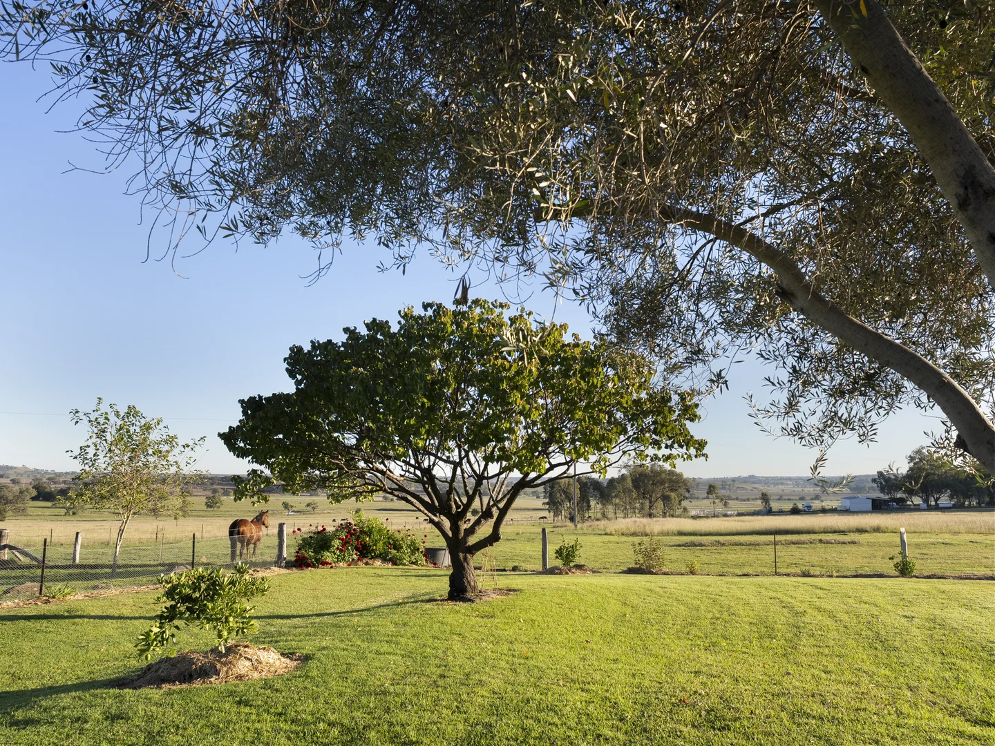 Additional image 24 of 71 Gillespies Lane, Inverell NSW 2360