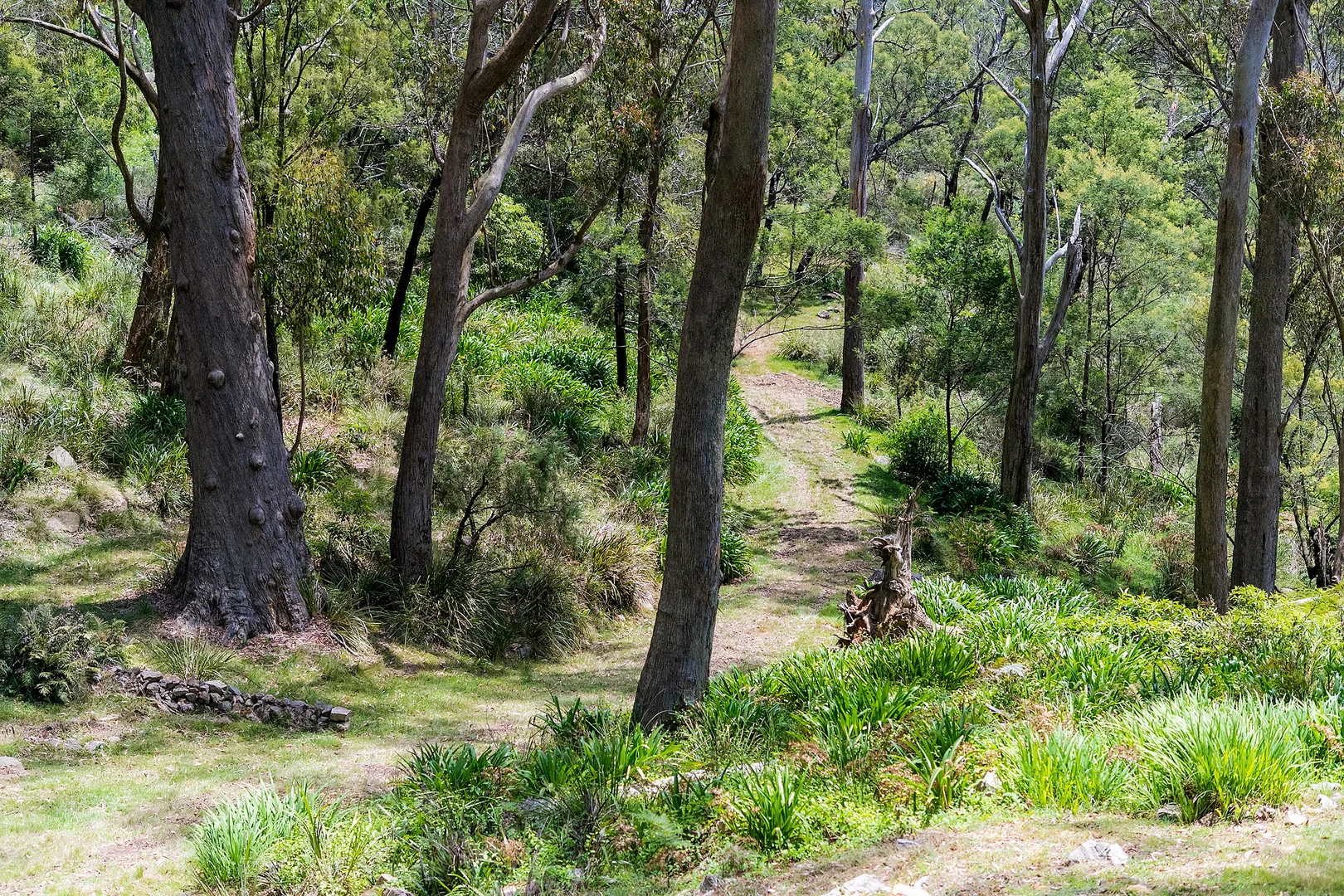Additional image 24 of 215 Oxley Drive, Mittagong NSW 2575