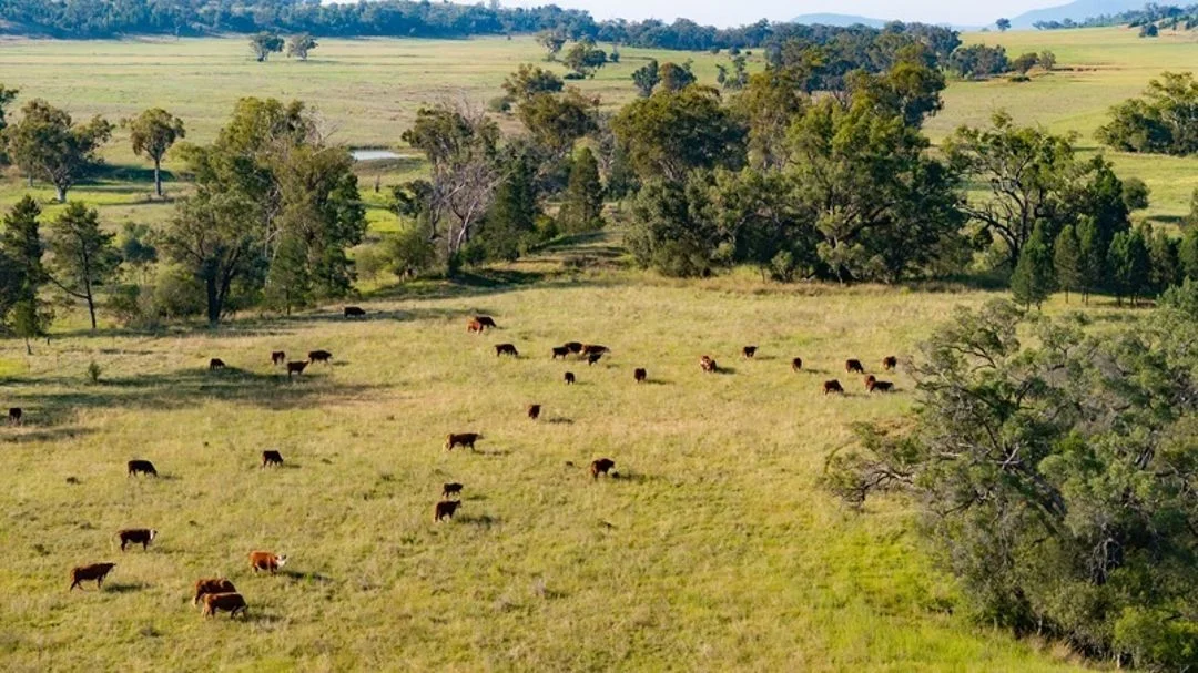 Additional image 22 of Garrambeel, Bingara NSW 2404