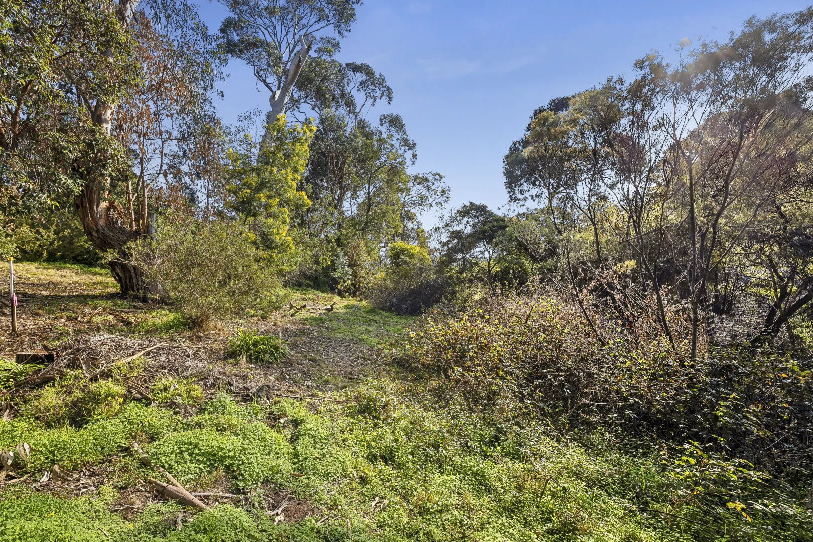 Additional image 7 of 10 Albert Street, Lorne VIC 3232