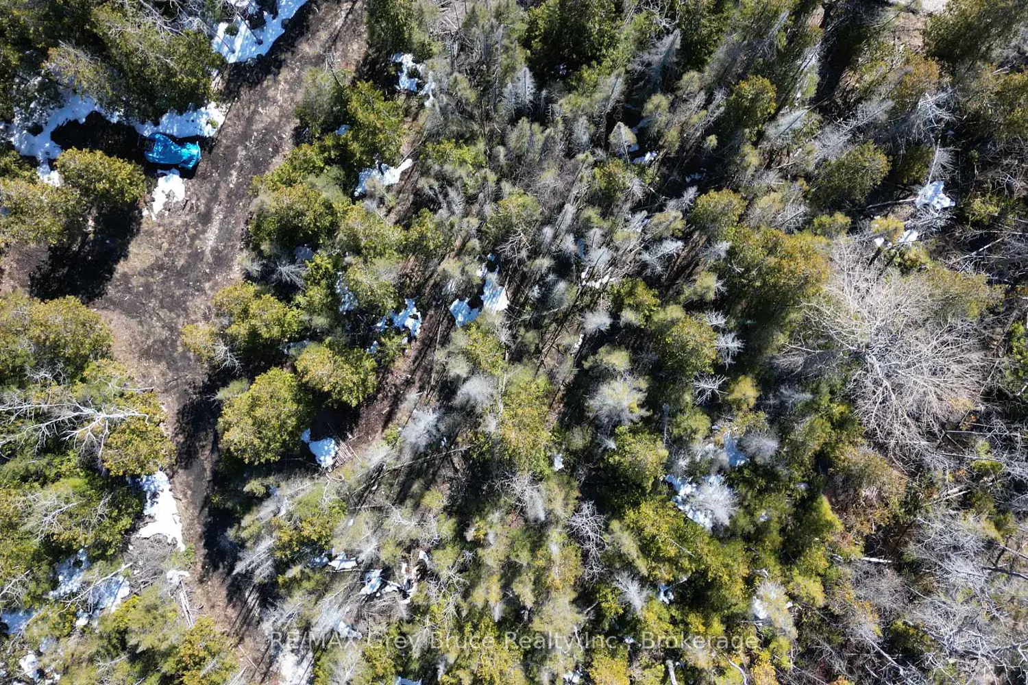 Additional image 13 of 31 Baise Avenue