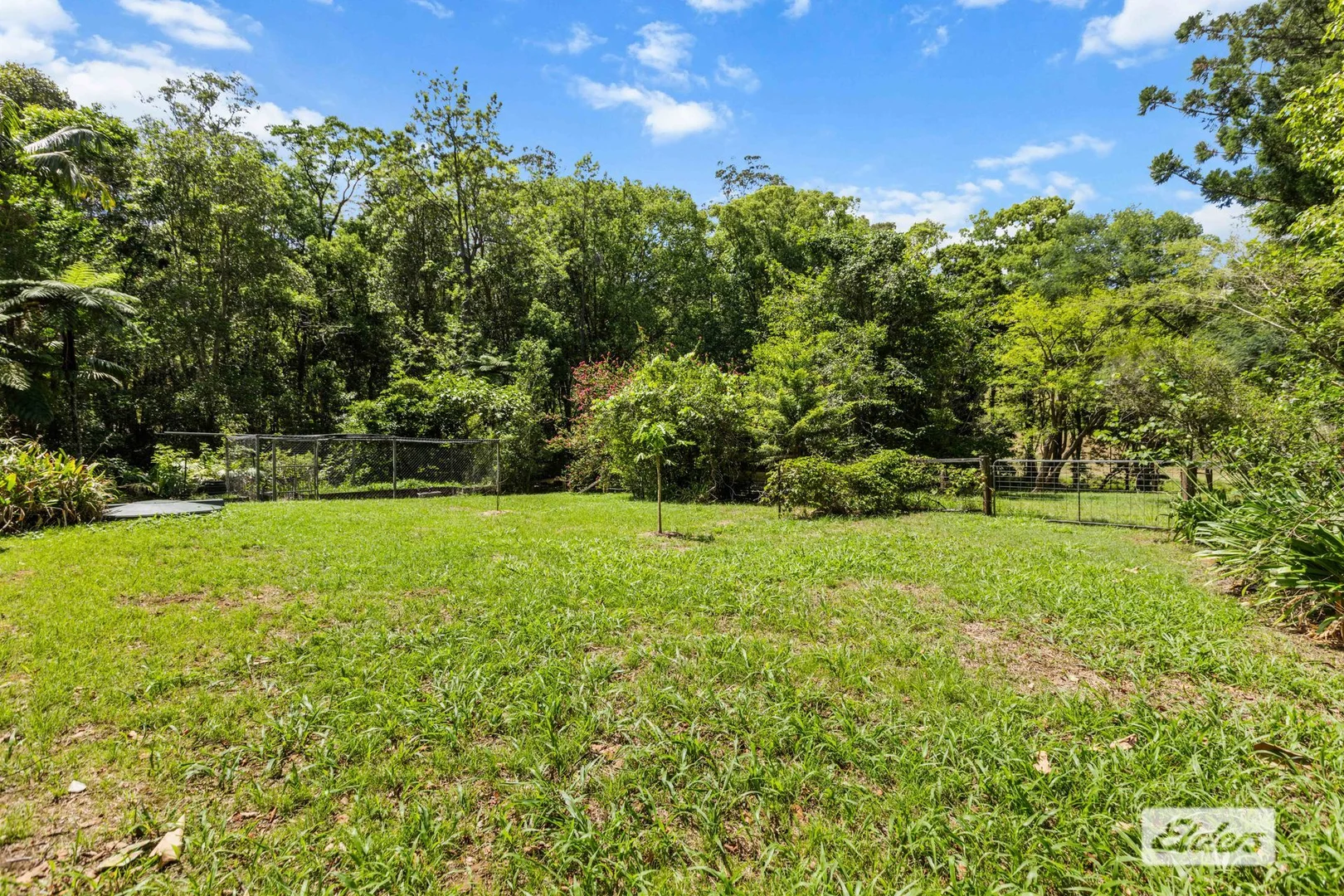 Additional image 25 of 1984 Numinbah Road, Numinbah NSW 2484