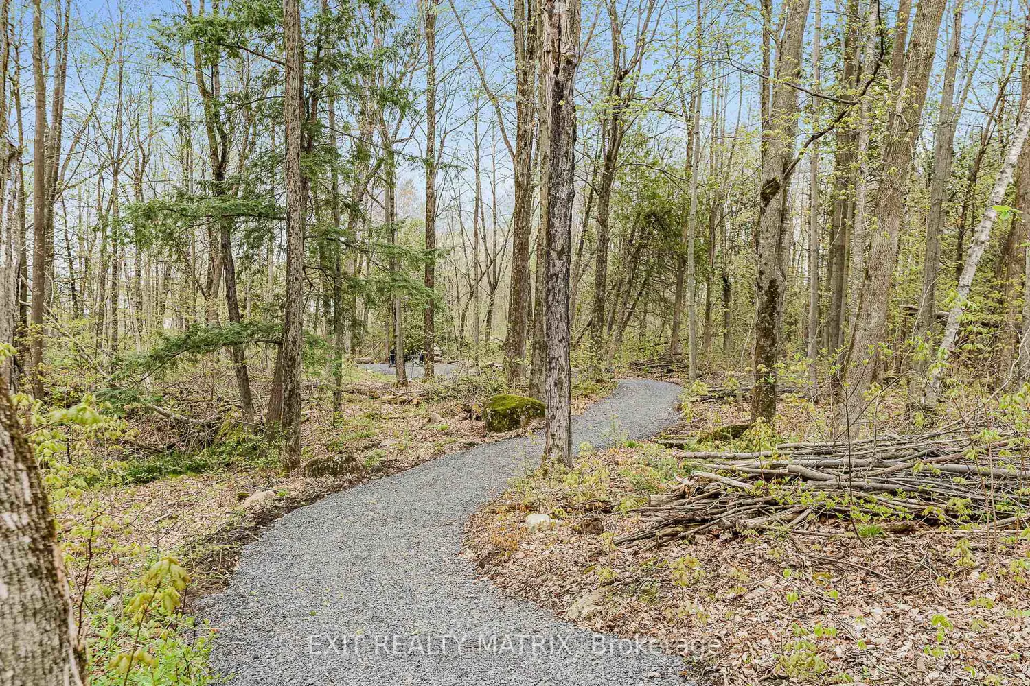 Additional image 16 of 64 Radstock Lane 5