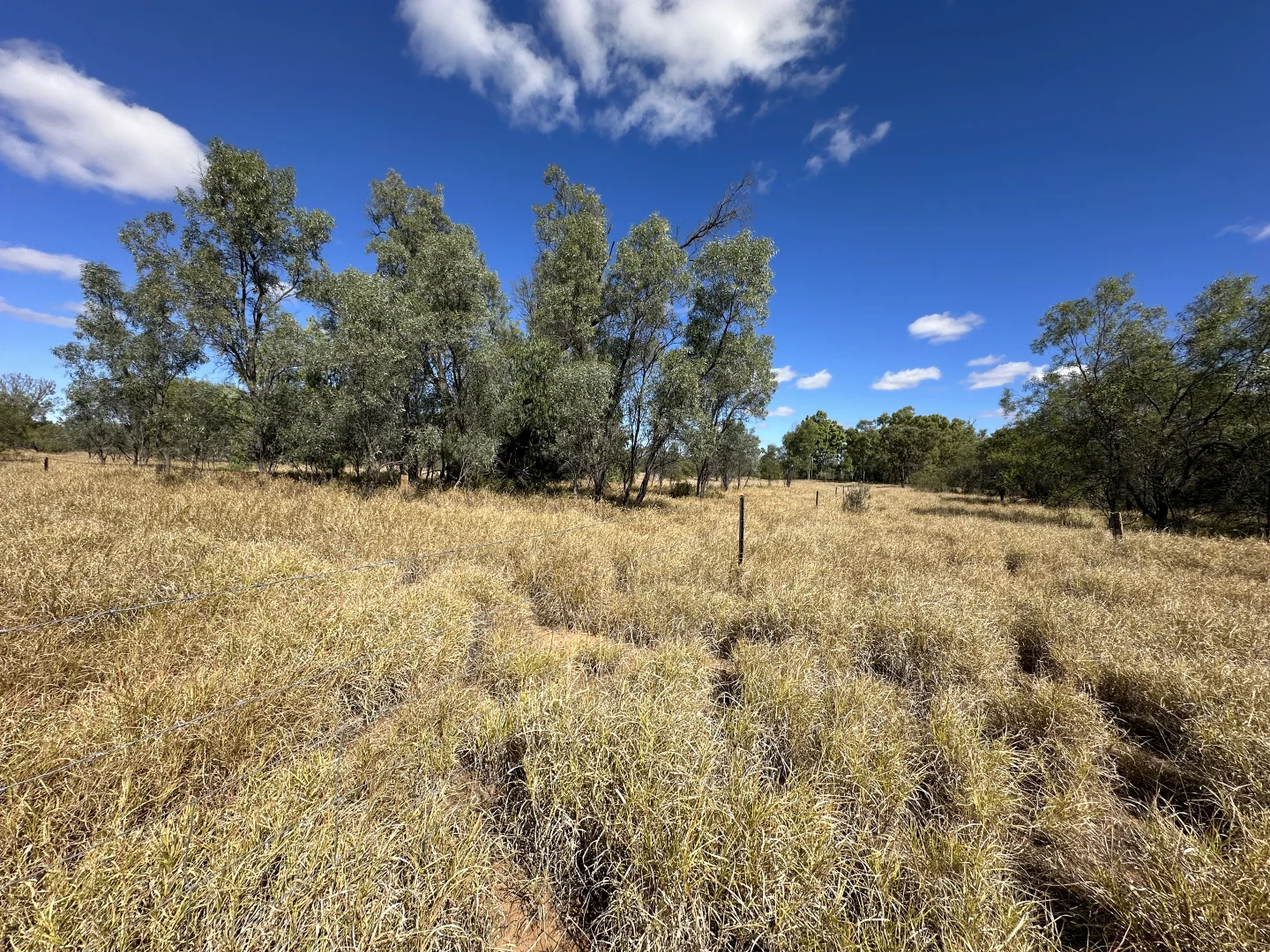 Additional image 8 of 0 Zieman Street, Bakers Bend QLD 4470