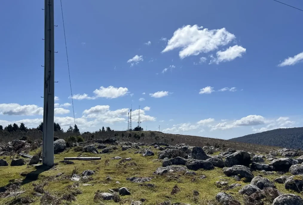 Additional image 8 of 29731 Tasman Highway, Weldborough TAS 7264