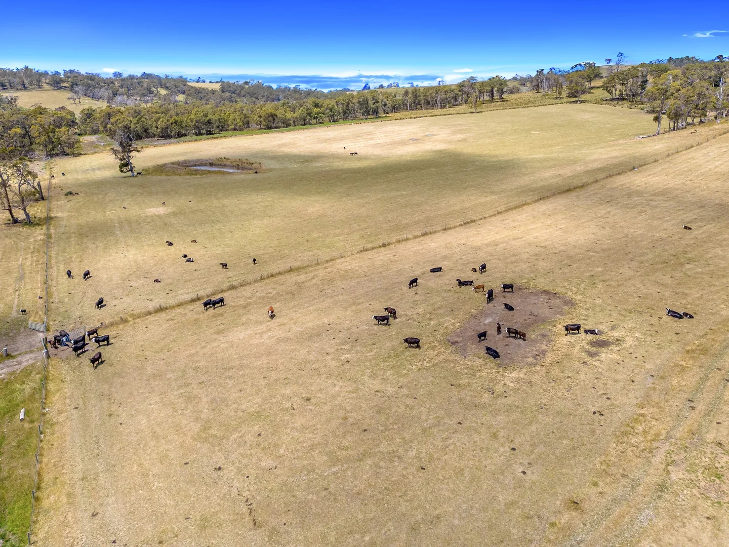 Additional image 13 of "Hurdle Road" 475 Saltwater River Road, Saltwater River TAS 7186