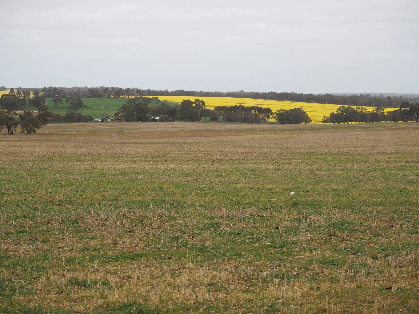 Additional image 3 of Dowrene Farm, Cnr Yerriminup and Yarralena Roads, Cranbrook WA 6321