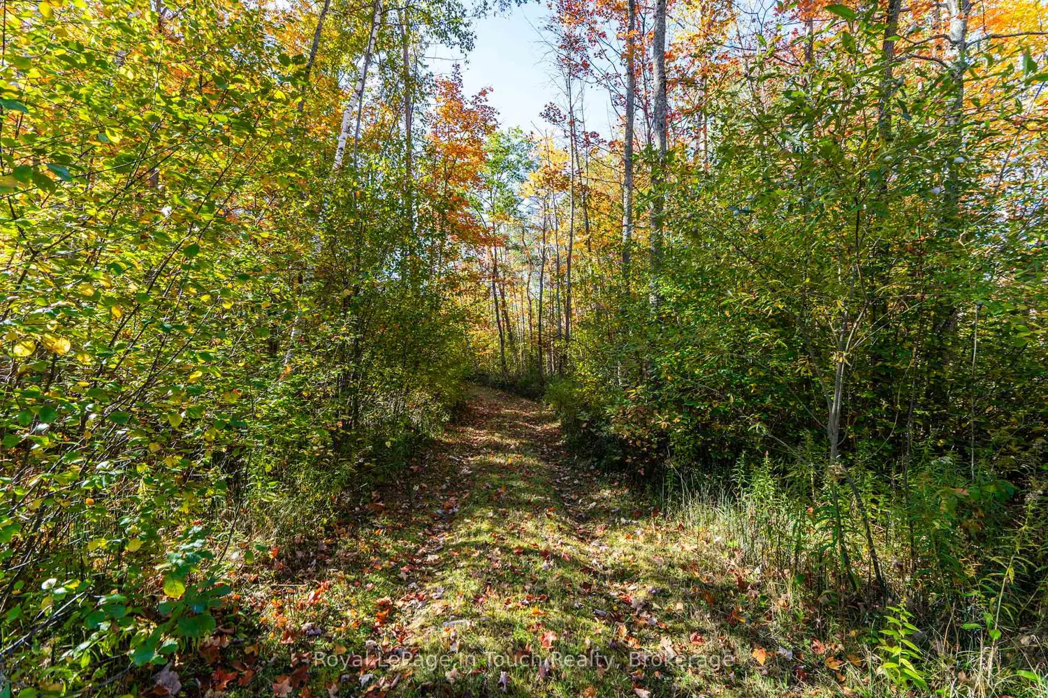 Additional image 6 of 250 Peek-A-Boo Trail