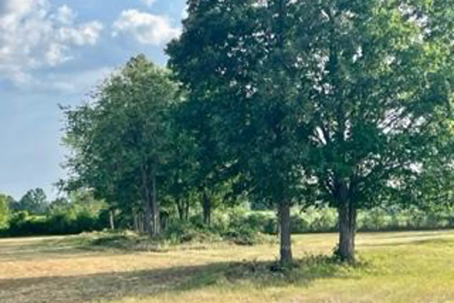 Additional image 4 of 0 Kitley Line 8 Road