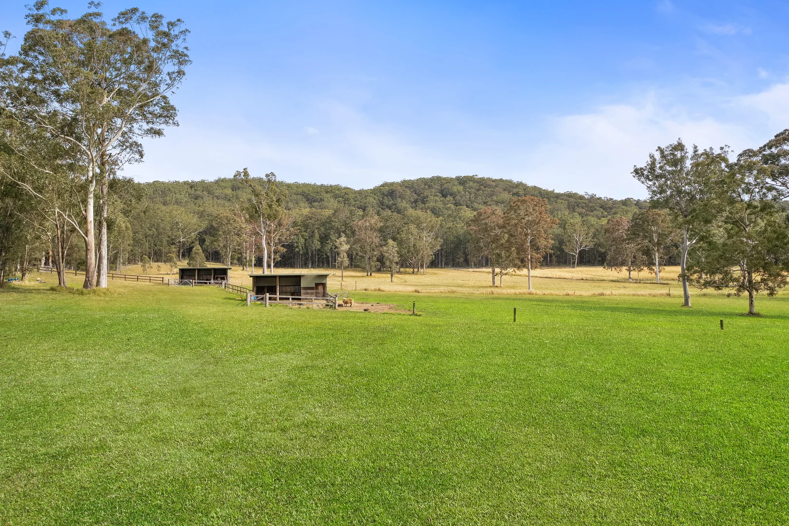 Additional image 15 of 818 Dicksons Road, Jilliby NSW 2259