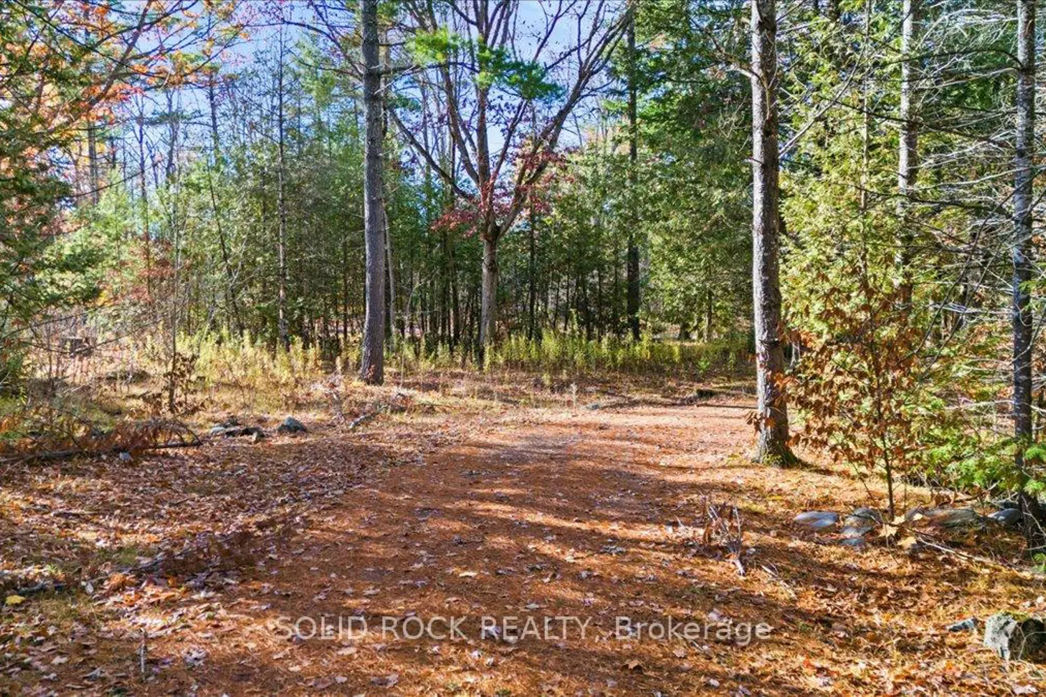 Additional image 13 of 136 Glen Ridge Road