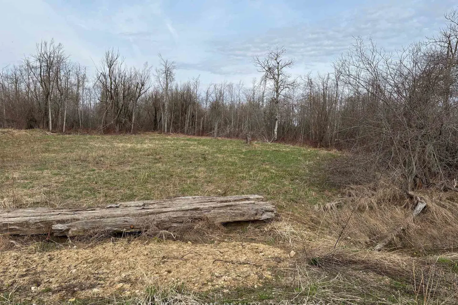 Additional image 3 of Conc 2 5Th Line