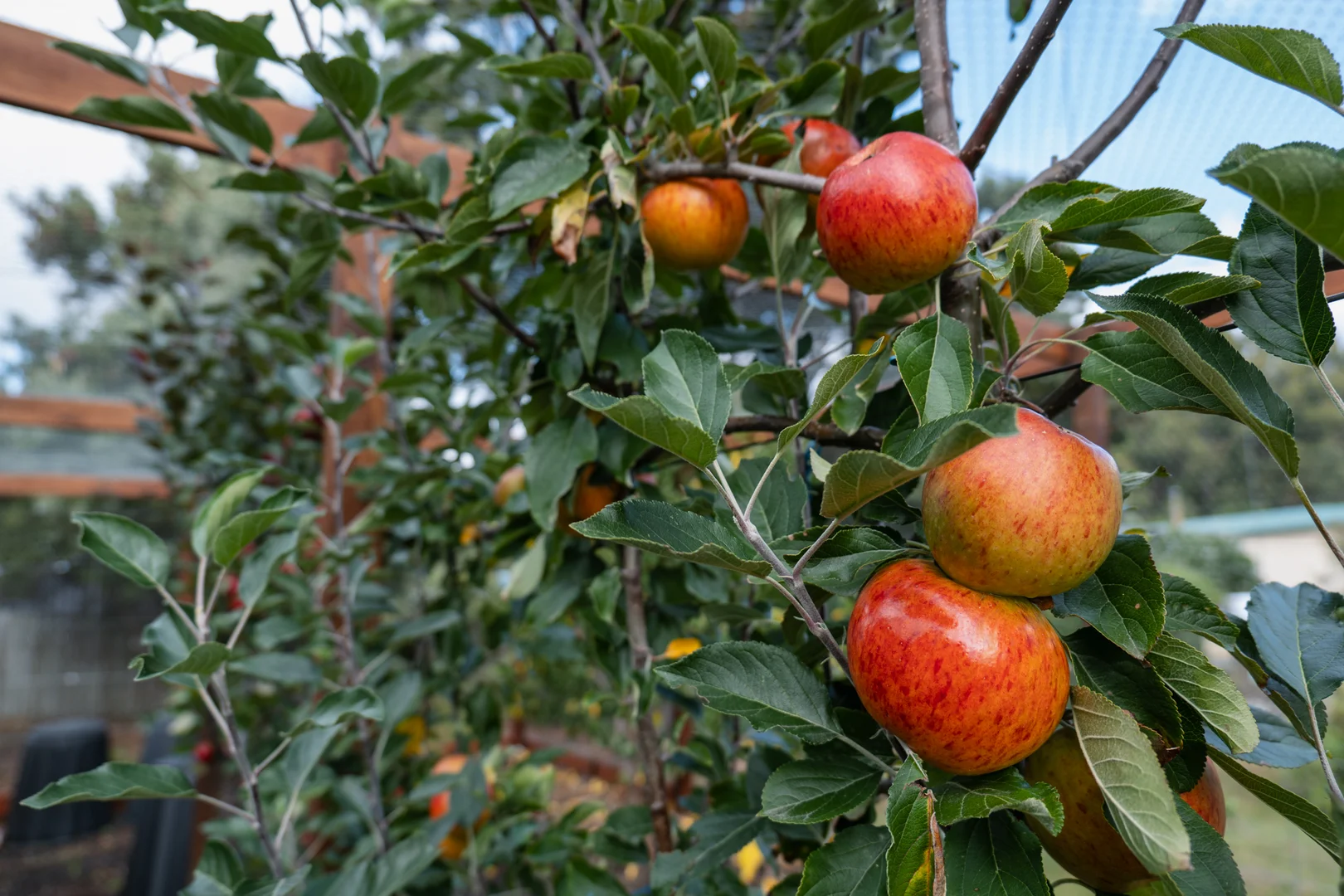 Additional image 23 of 15 Coolangatta Road, Adventure Bay TAS 7150