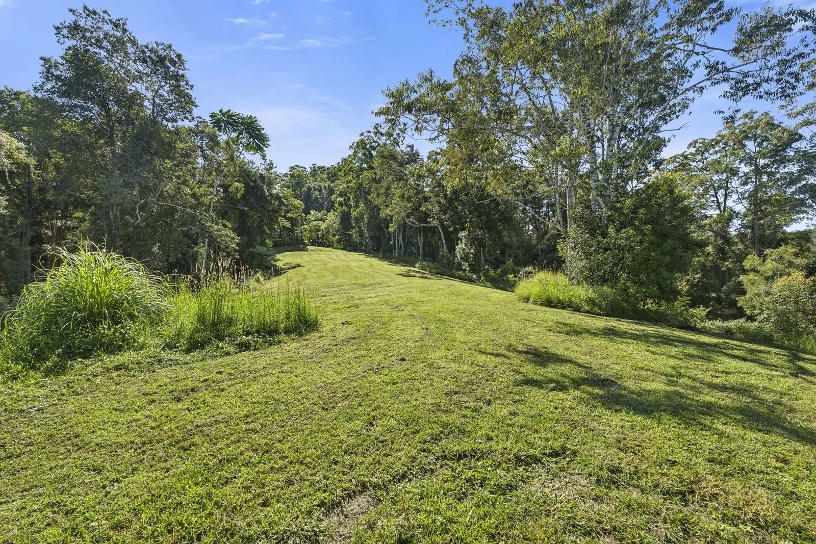 Additional image 8 of 408 Bowraville Road, Bellingen NSW 2454