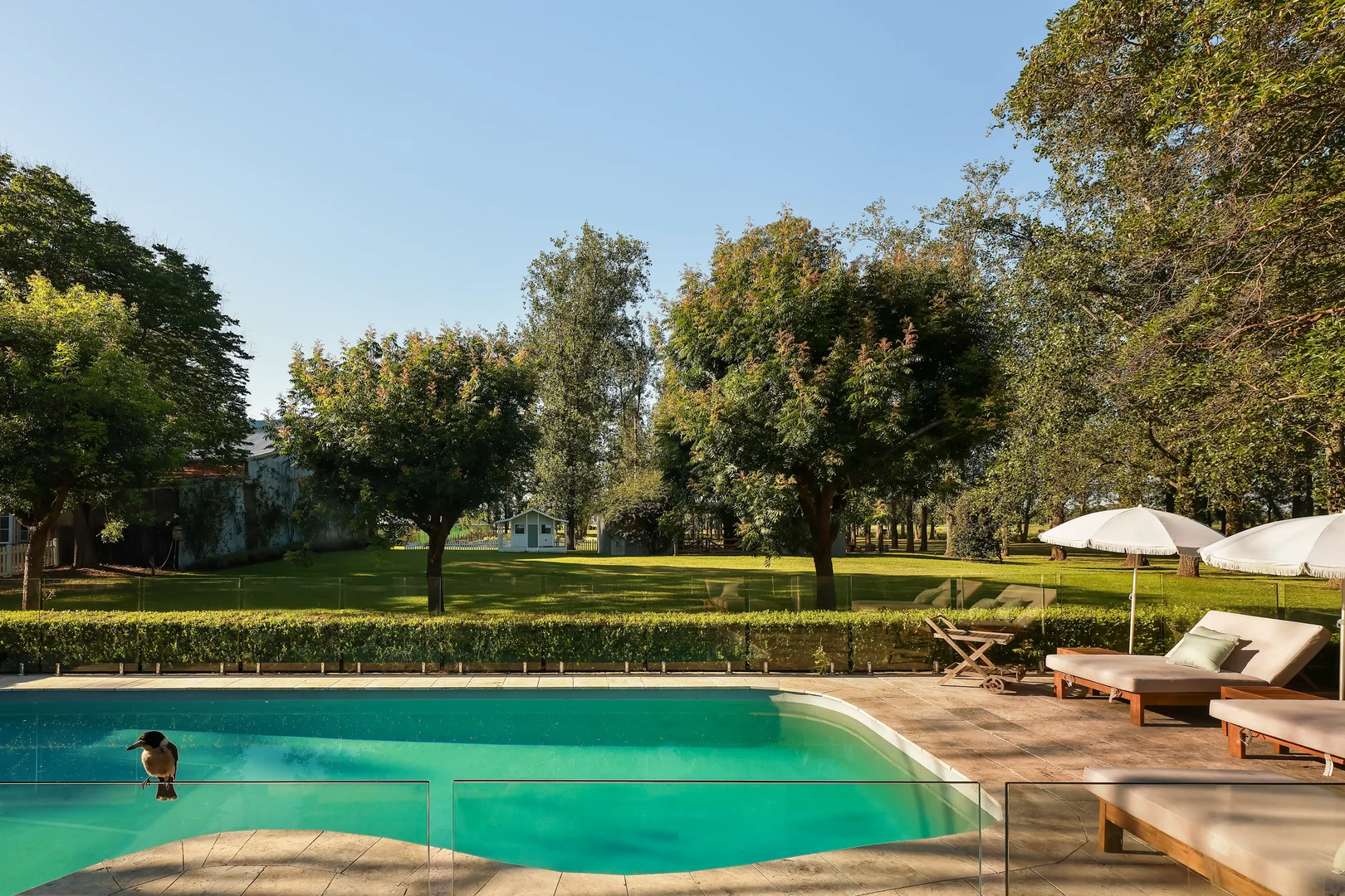 Additional image 8 of 229 Glenarvon Road, Lorn NSW 2320