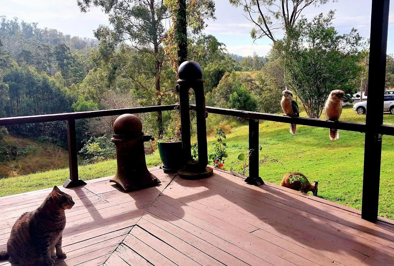 Additional image 17 of Bellangry NSW 2446