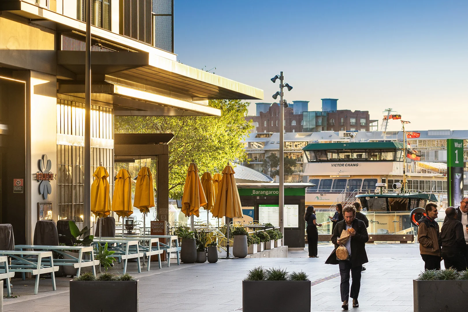 Additional image 19 of 11E/6 Watermans Quay, Barangaroo NSW 2000