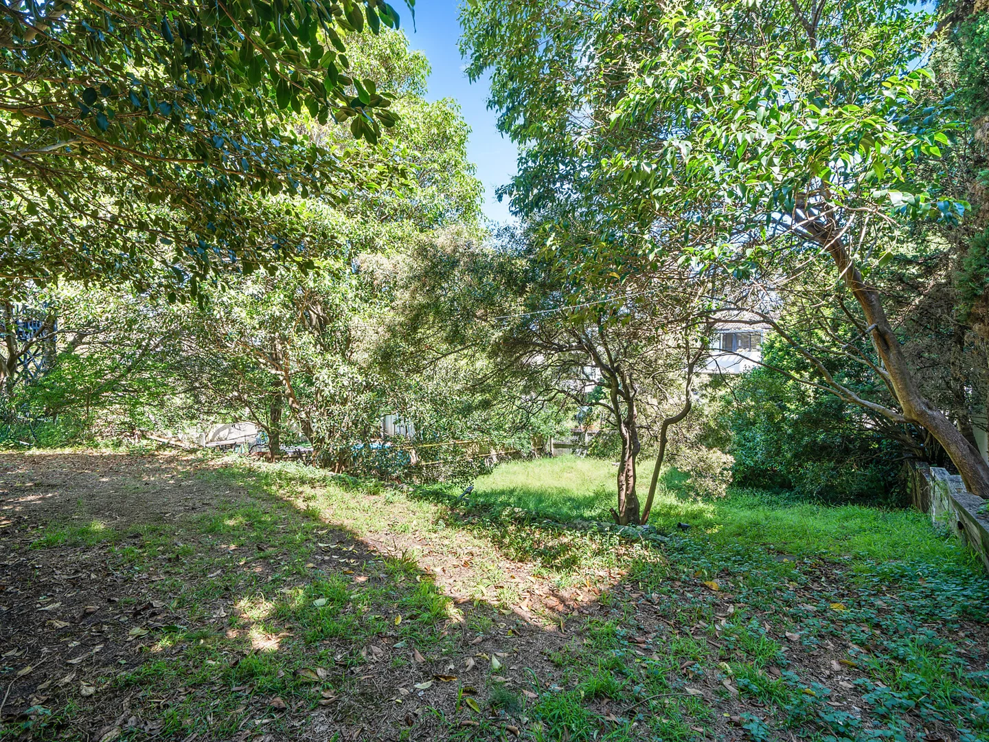 Additional image 14 of 25 Birriga Road, Bellevue Hill NSW 2023