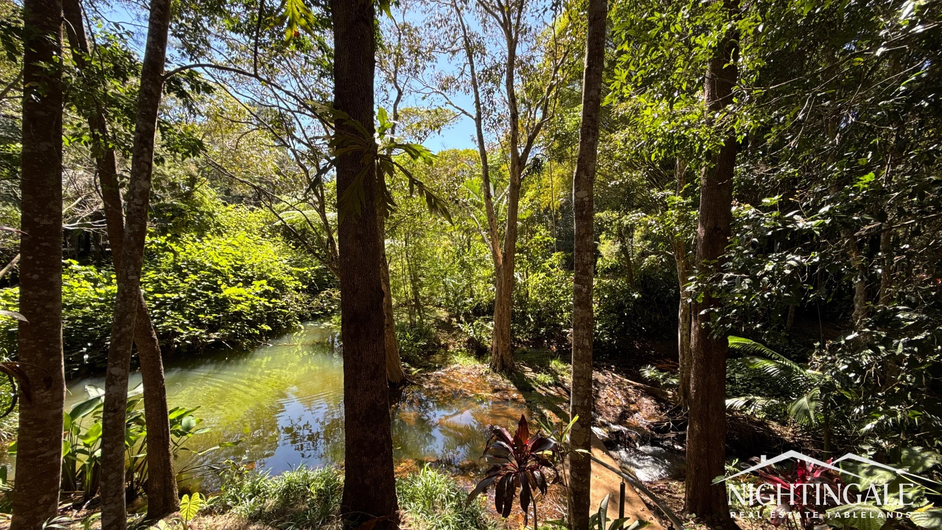 Additional image 34 of Lake Eacham QLD 4884