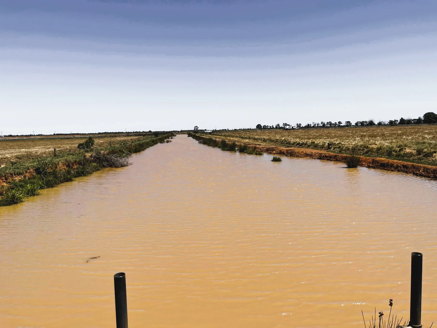 Additional image 21 of 8499 Murray Valley Highway, Kerang East VIC 3579