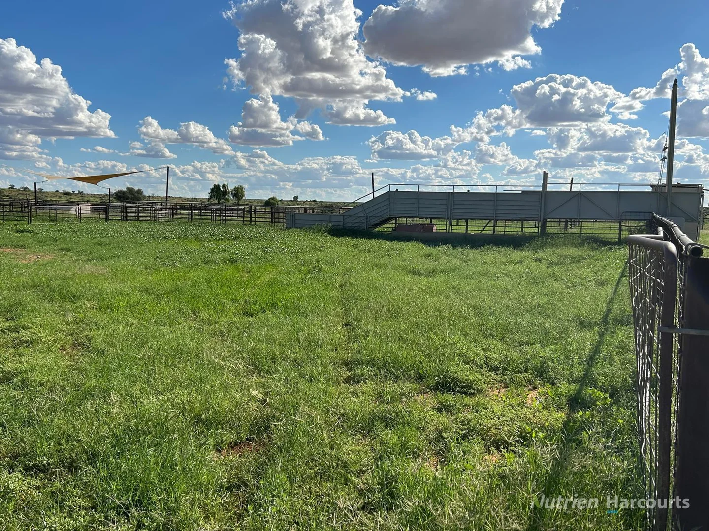 Additional image 8 of * Kayrunnera Station, 1944 Kayrunnera Road, Mutawintji NSW 2880