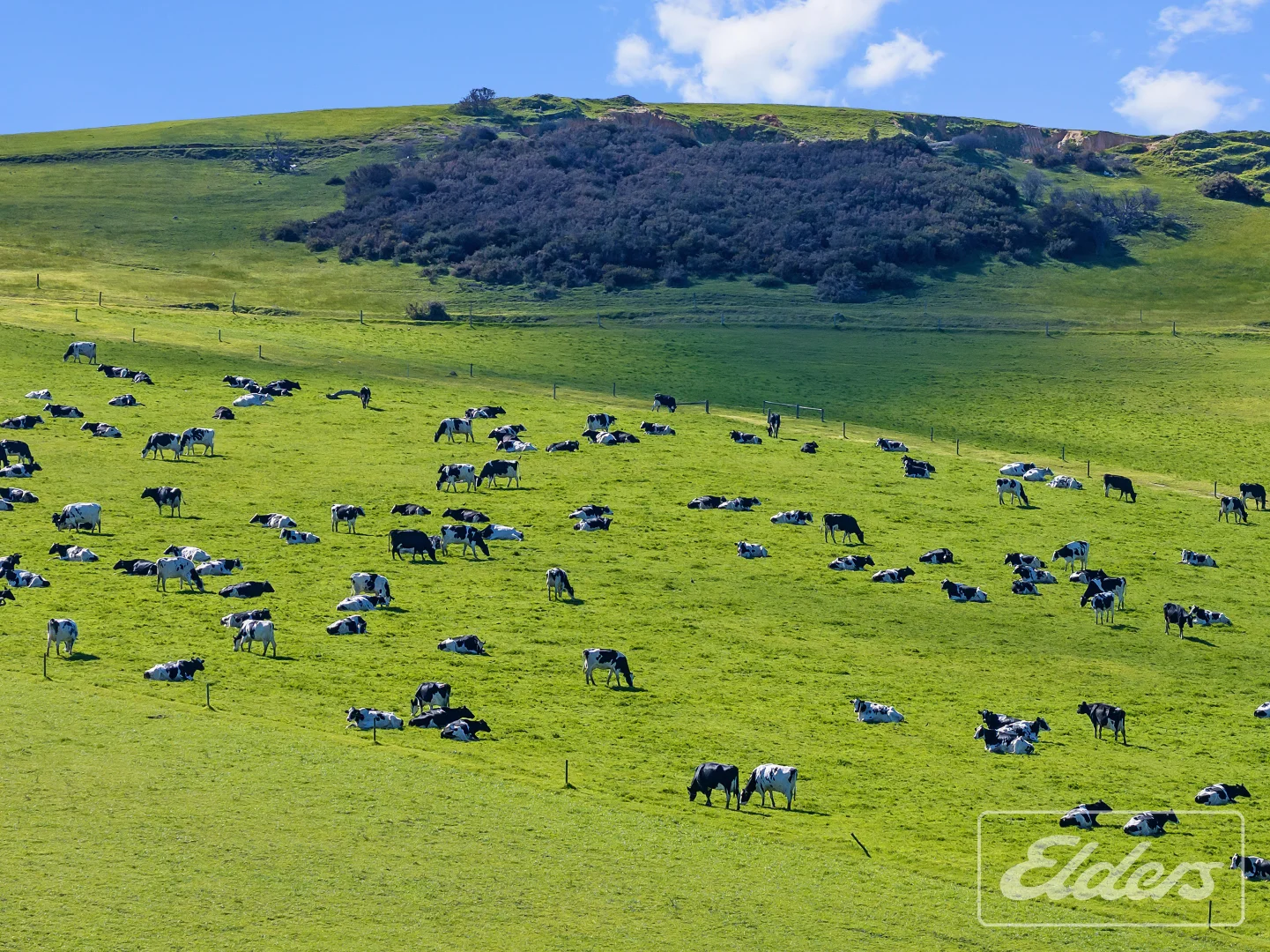 Additional image 23 of 101 Nottle Road, Lower Inman Valley SA 5211