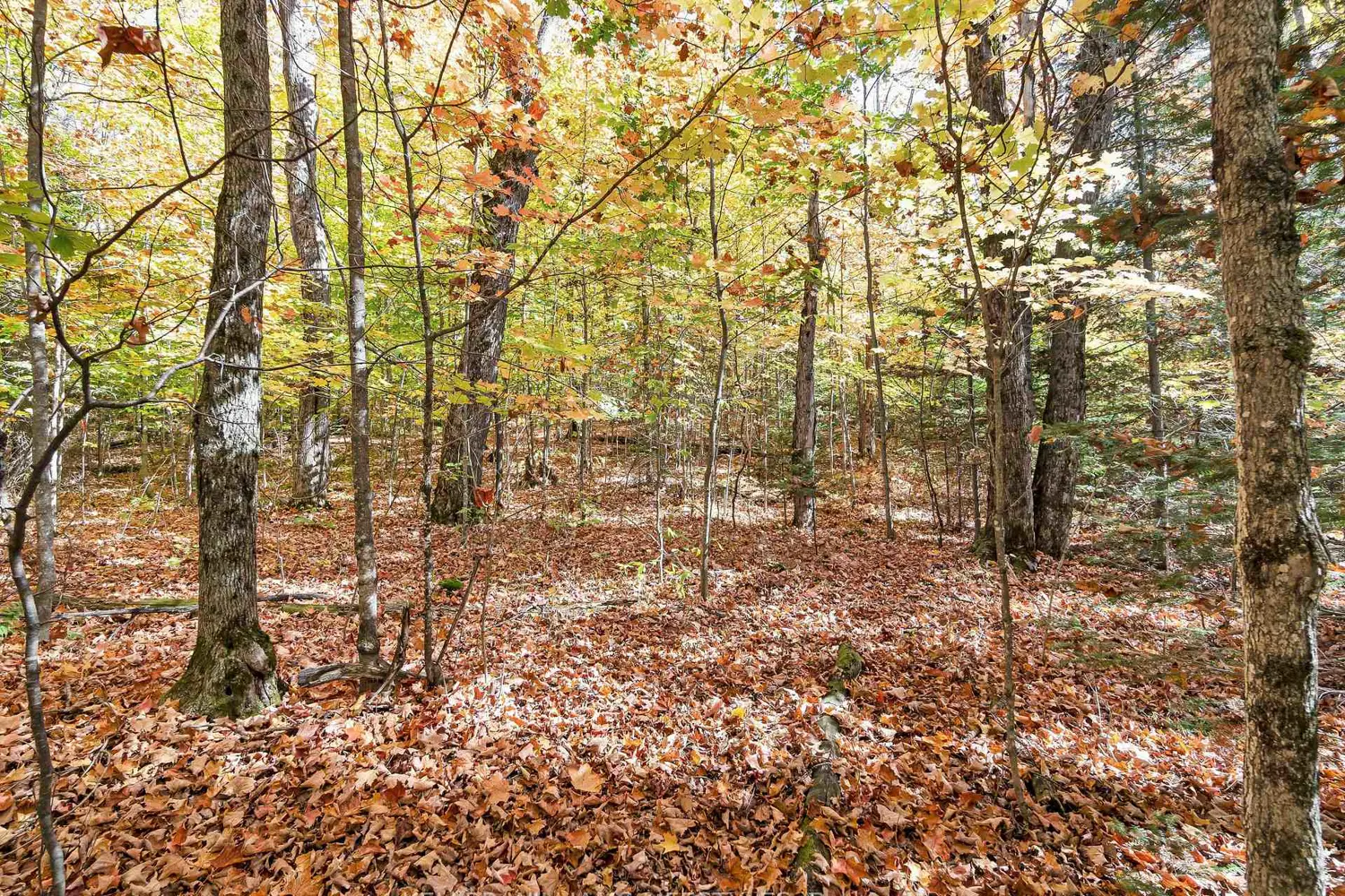 Additional image 16 of 0 Balsam Lane