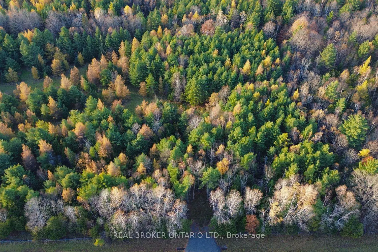 Additional image 3 of Lot 2 Watsons Corners Road