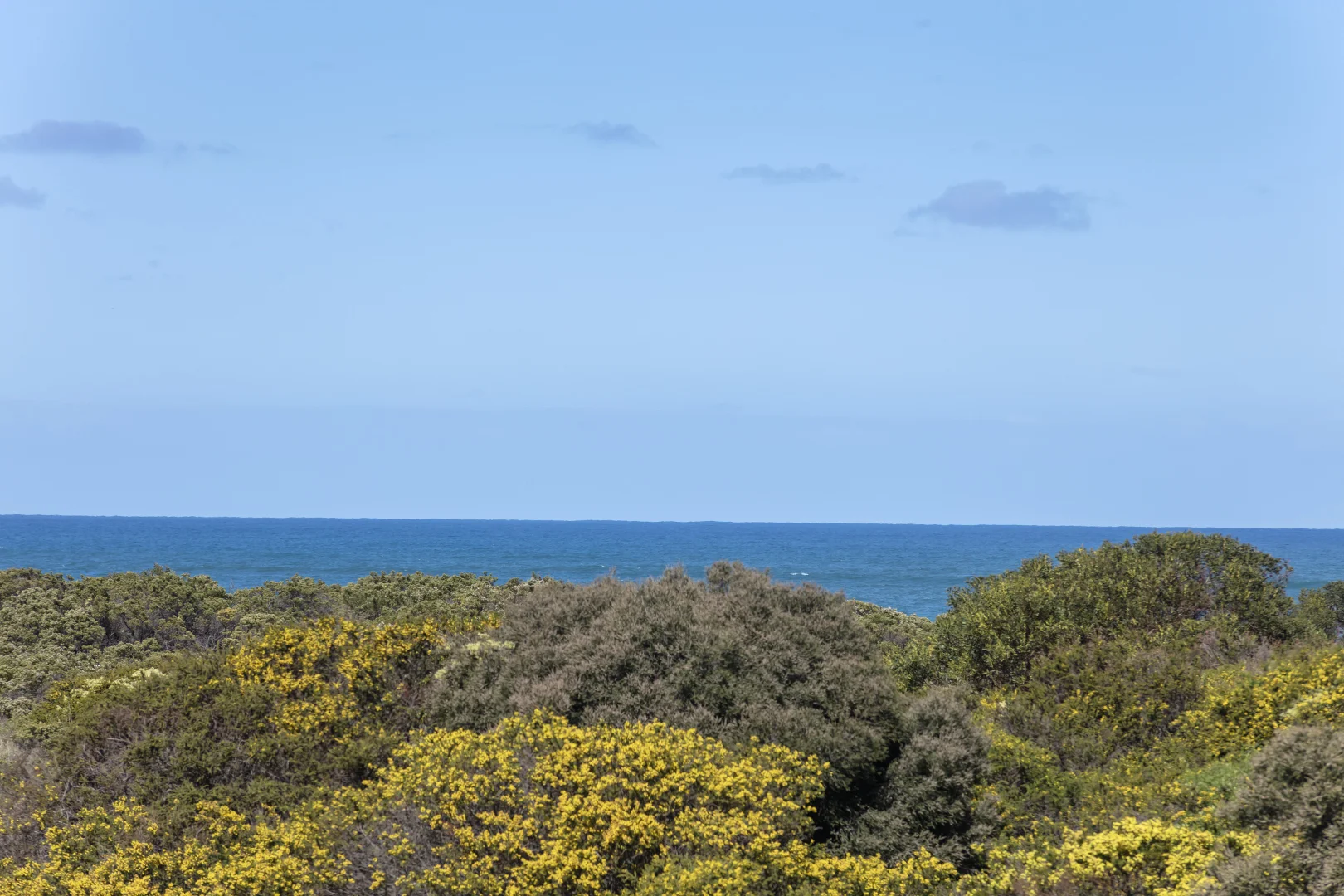 Additional image 10 of 169 The Esplanade, Torquay VIC 3228