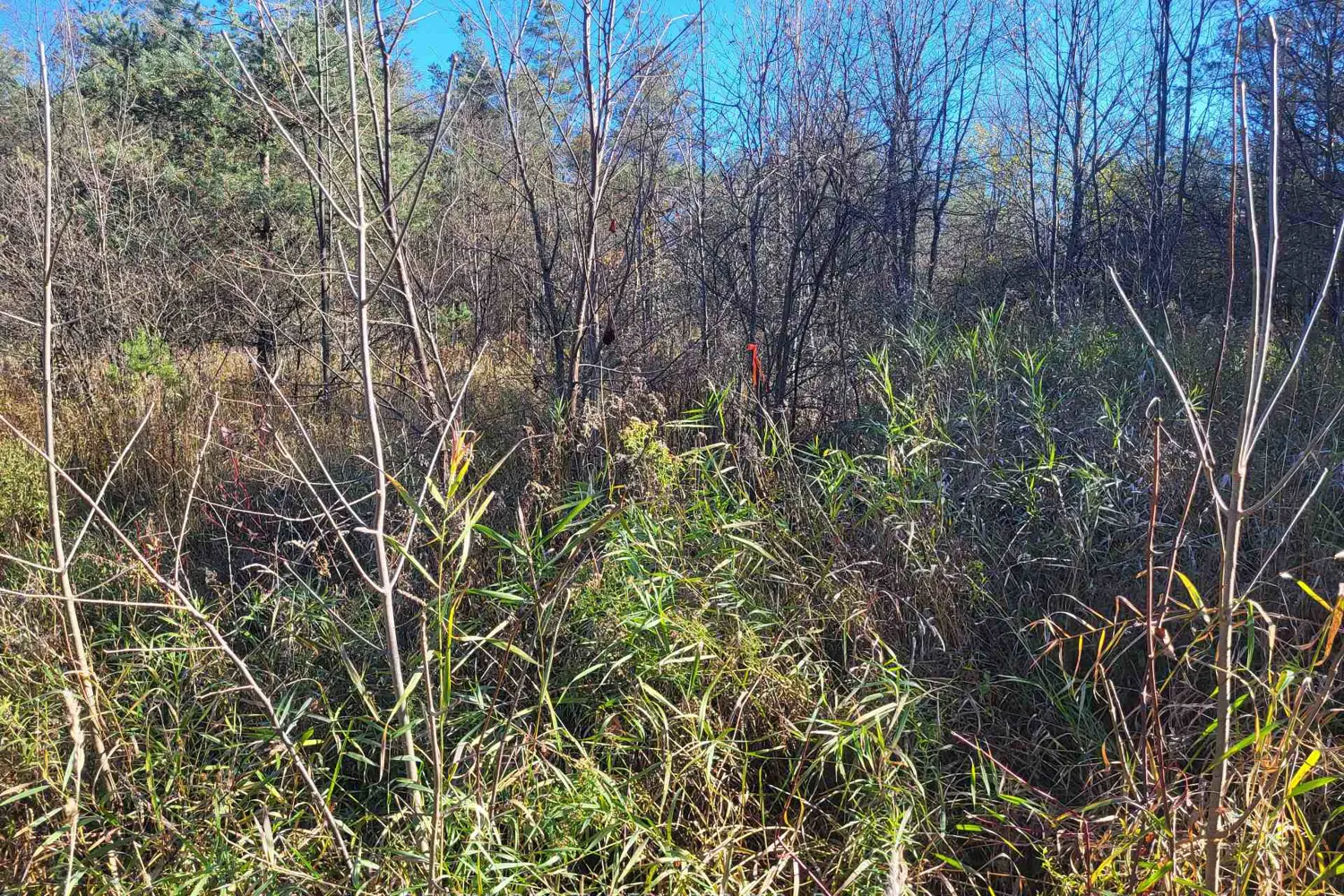 Additional image 9 of 395421 Concession 2 Road