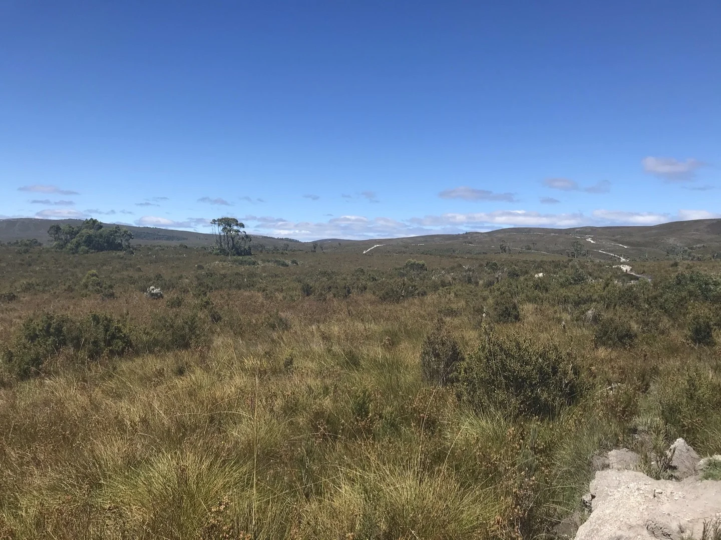 499 Heemskirk Road, Zeehan TAS 7469