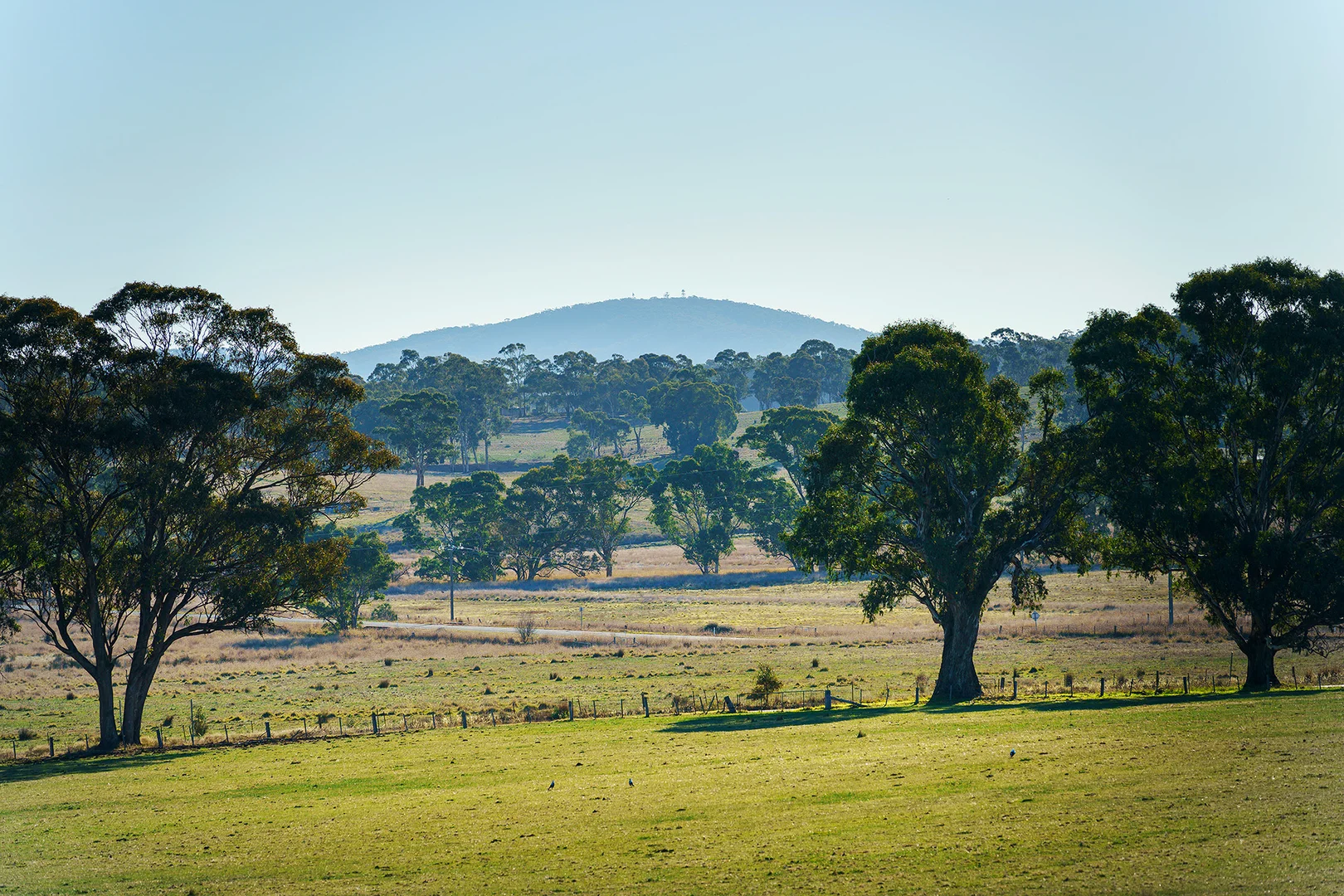 Additional image 14 of 275 Castlemaine-Maldon Road, Muckleford VIC 3451