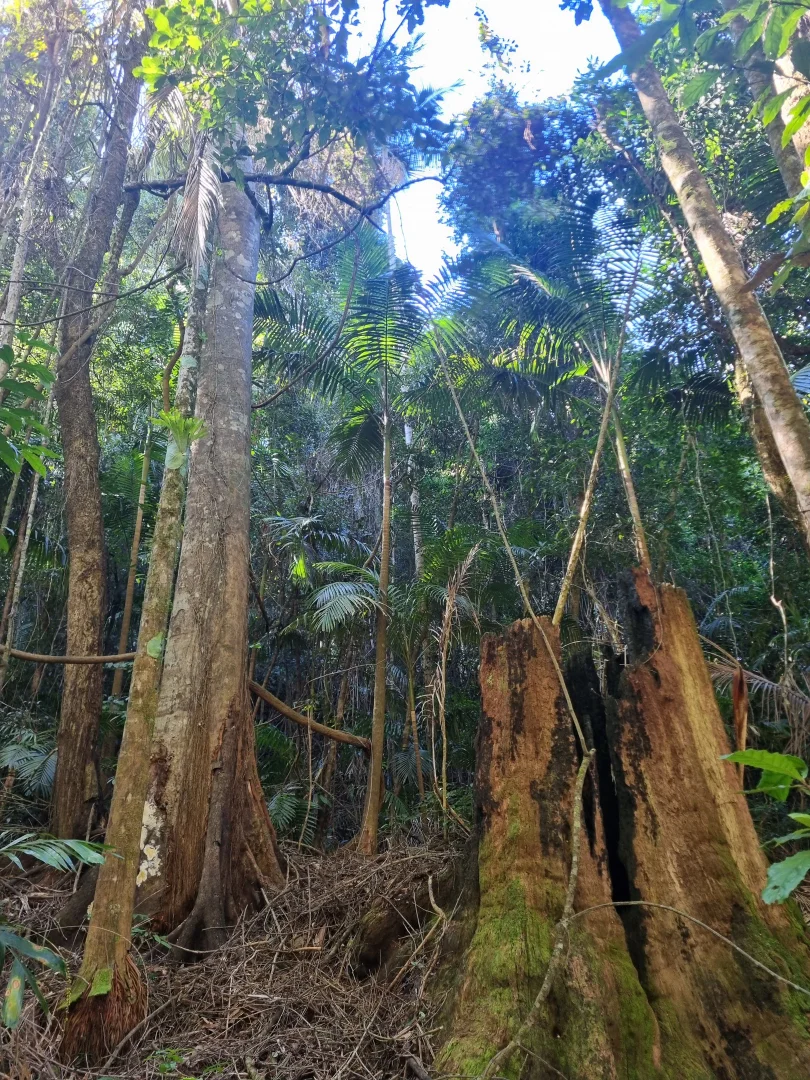 Additional image 29 of Bellangry NSW 2446