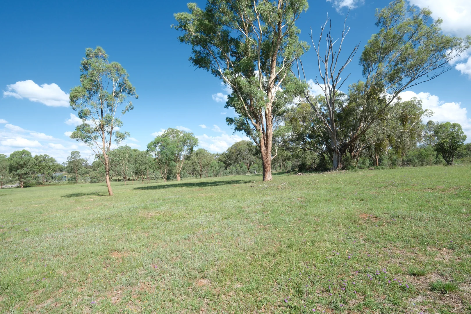 Additional image 2 of 1380 Elsmore Road (Elsmore), Inverell NSW 2360