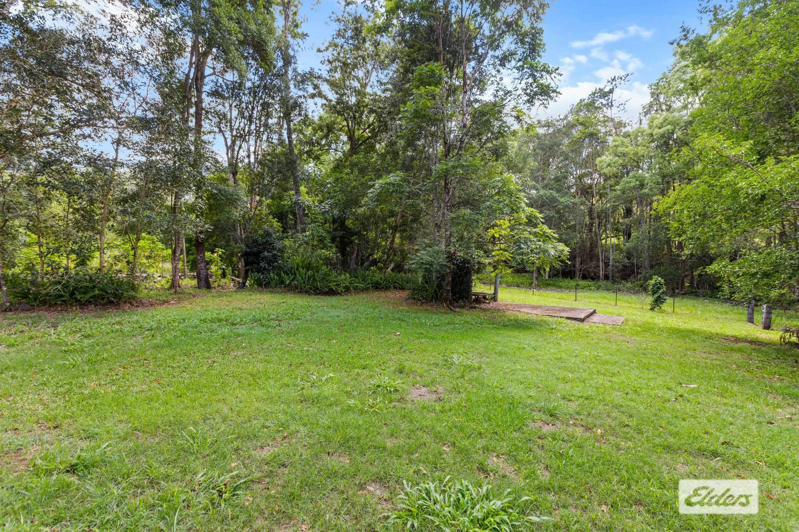 Additional image 23 of 1984 Numinbah Road, Numinbah NSW 2484