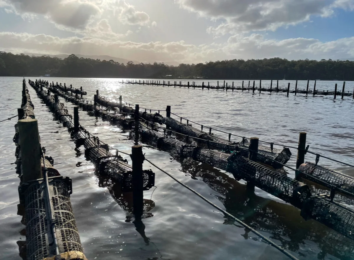 Additional image 2 of Tongue Road, Hastings TAS 7109