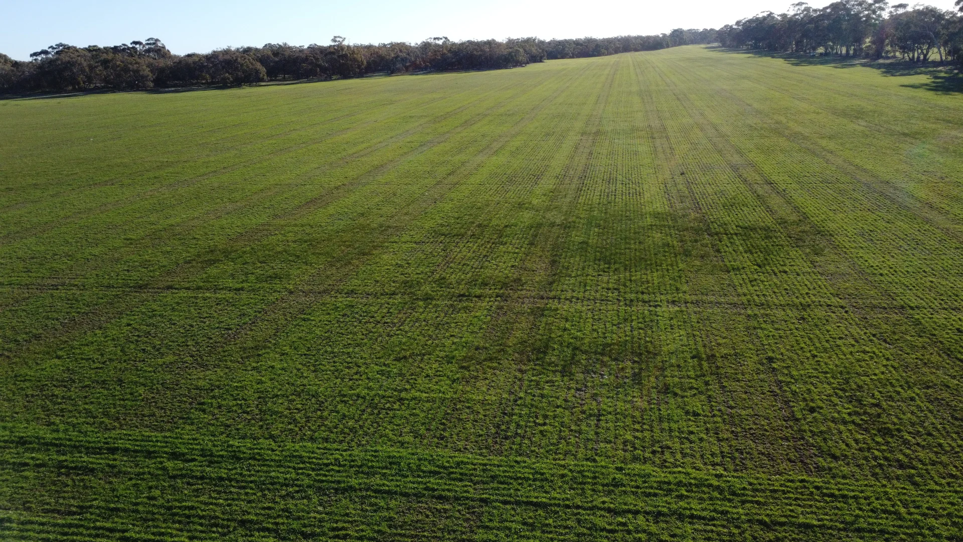 Additional image 8 of CA/75 A Watkins Road, Karnak VIC 3401