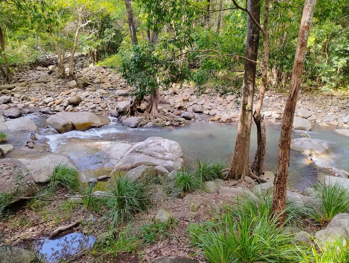 Additional image 8 of 901 Cedar Creek Road, Cedar Creek QLD 4520