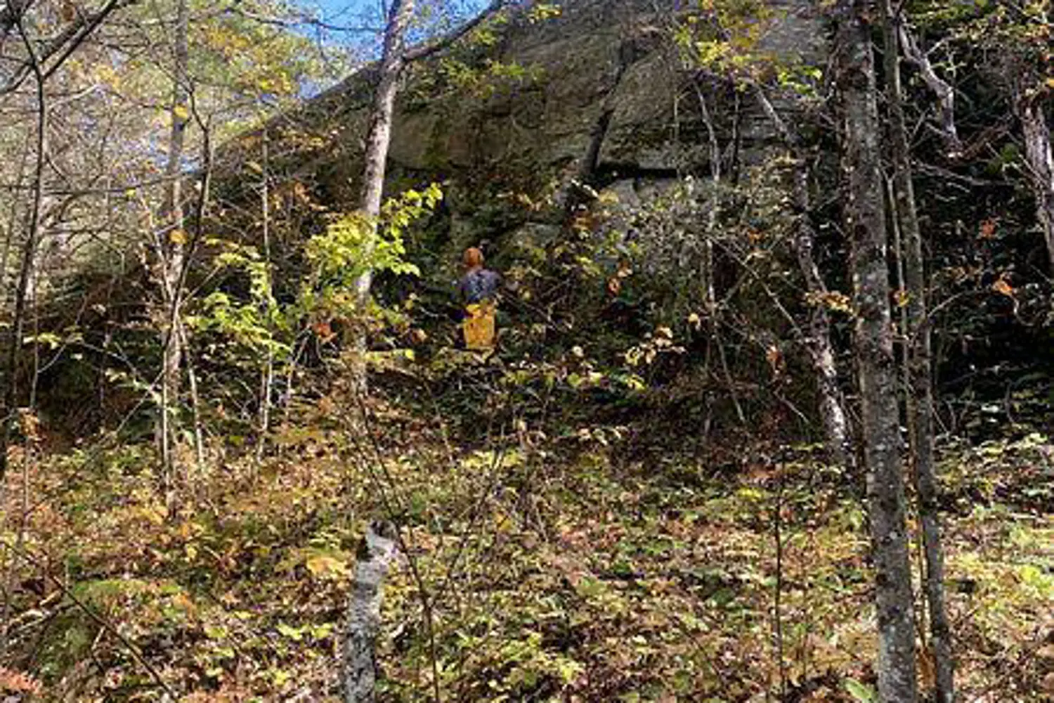 Additional image 13 of 1322 Boomhauer Road