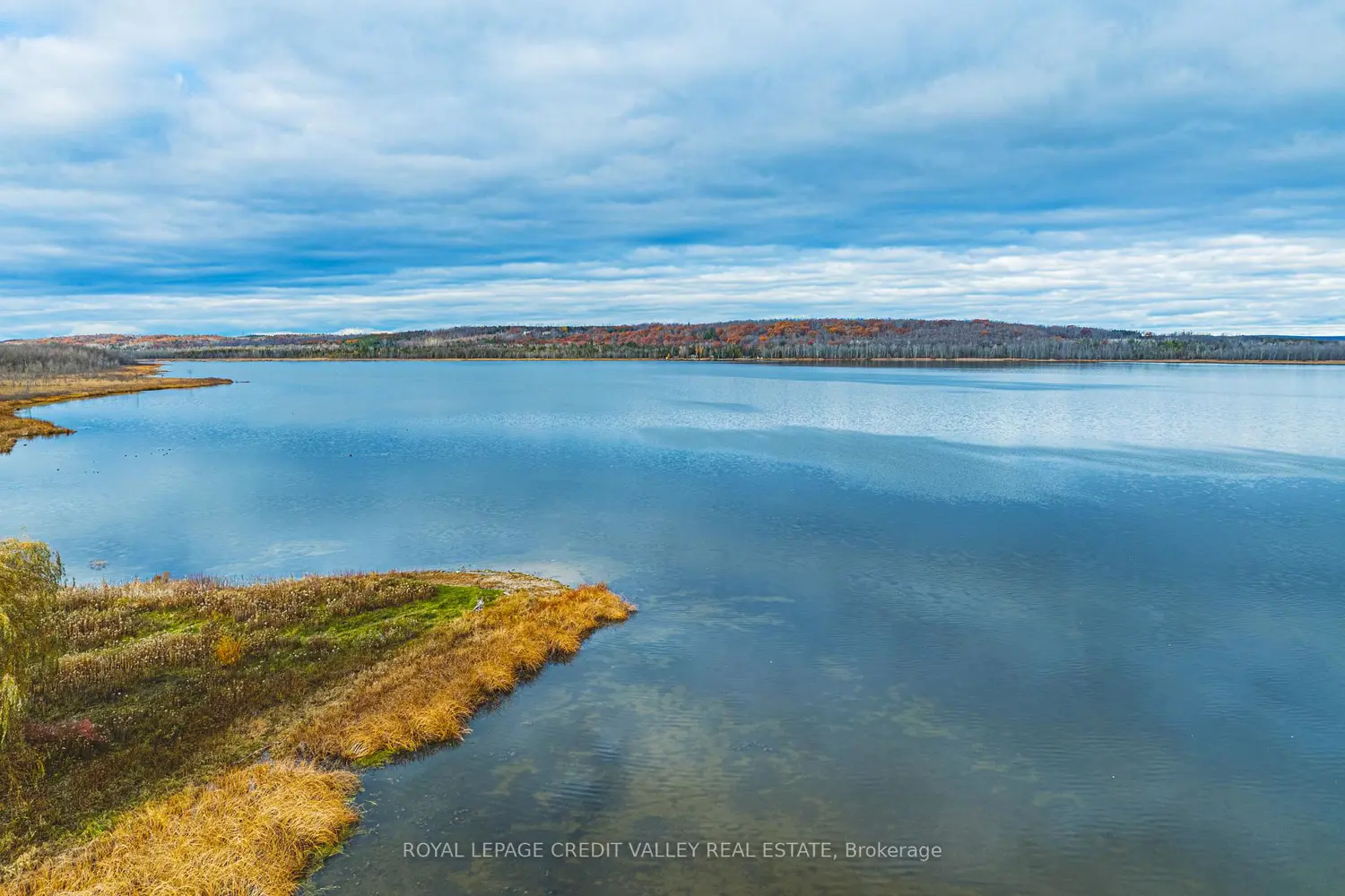 Additional image 20 of 58 Lakeside Terrace 317