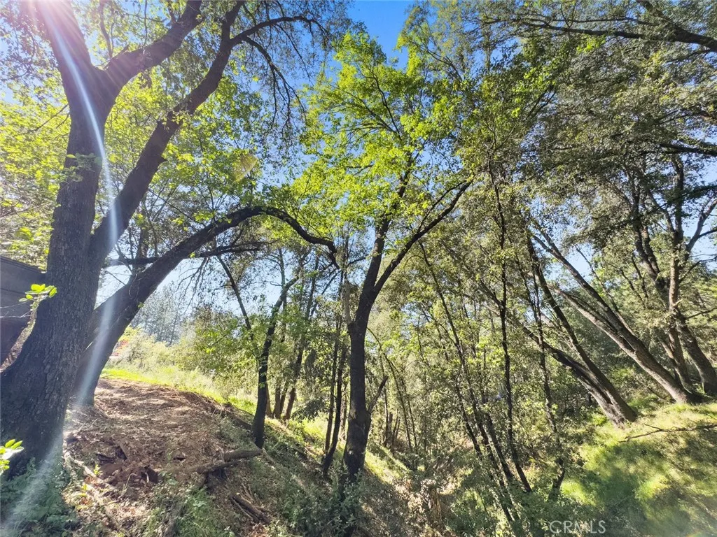 Additional image 63 of 22666 Lower Quail Mine Road, Sonora, CA 95370