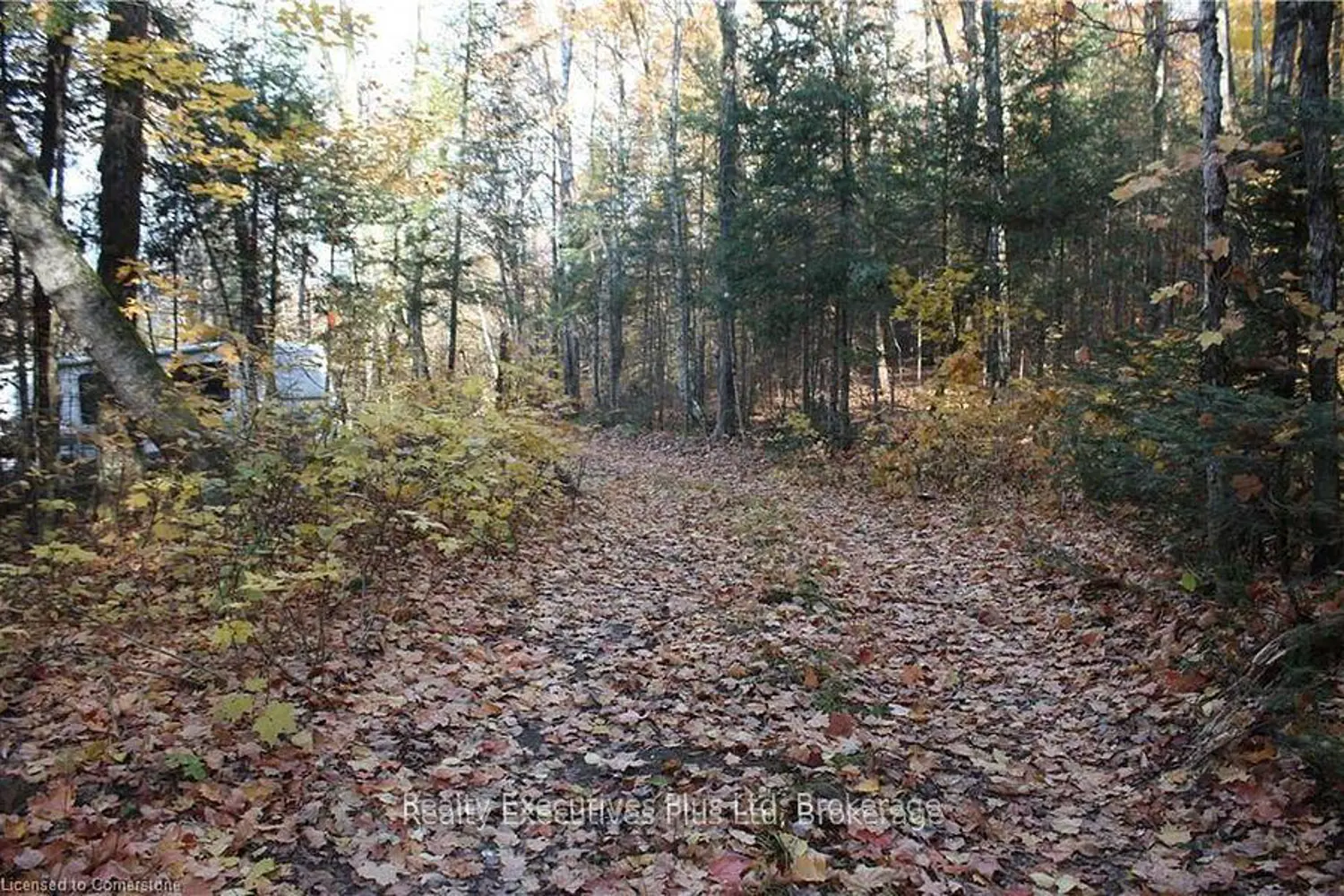 Additional image 4 of 00 Ottawa Avenue